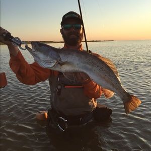 Meet your Posher, Darrell